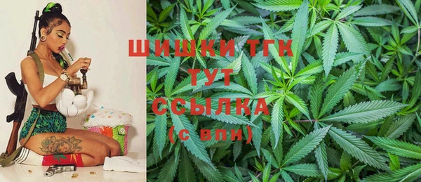ешки Алексин