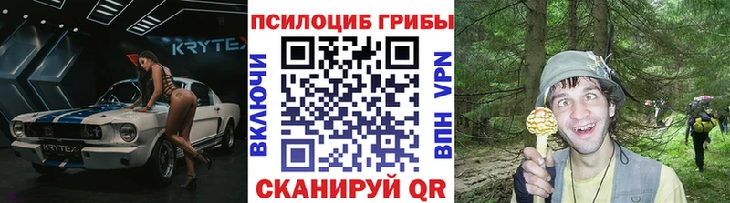 Купить где  Куртамыш  Псилоцибиновые грибы MAGIC MUSHROOMS 